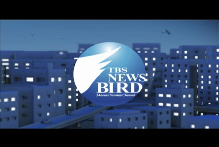 news_bird.yoru2